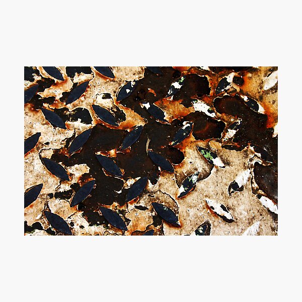 Grunge Photographic Print