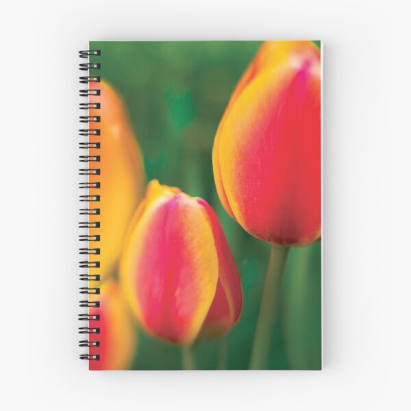 Item preview, Tulipanes 3 designed and sold by John Poppleton.