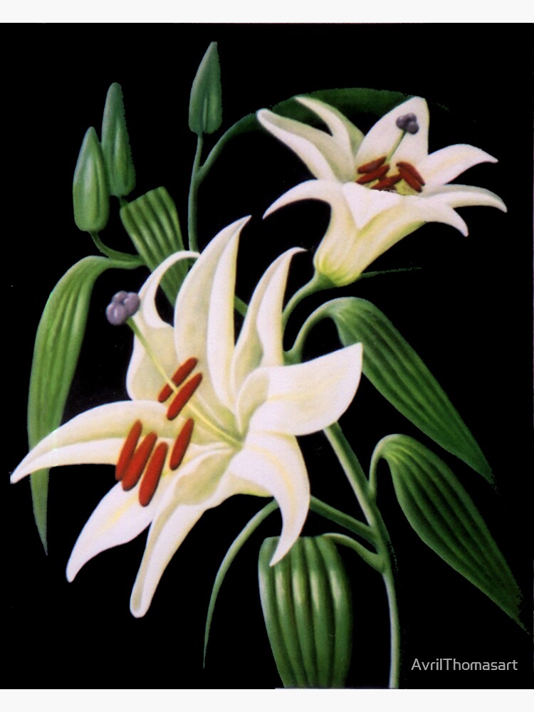 Thumbnail 3 of 3, Sticker, Lillies 99 - Oil painting by Avril Thomas - Adelaide / South Australia Artist designed and sold by AvrilThomasart.