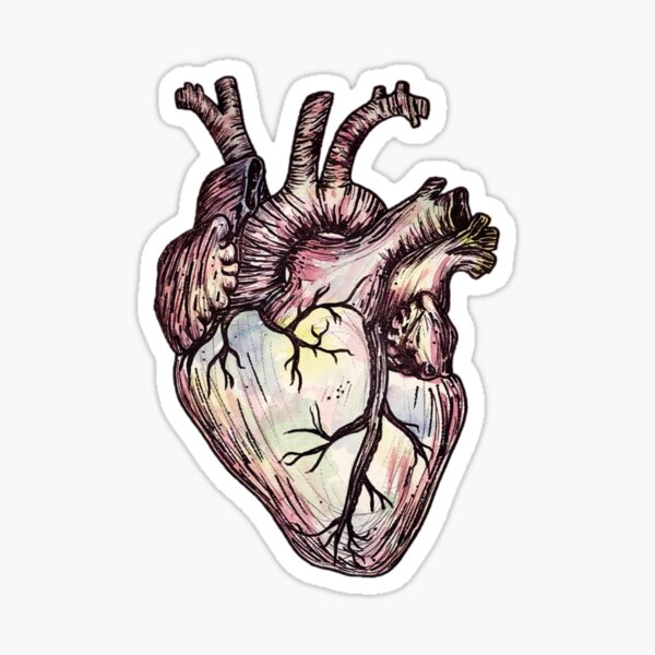 Realistic Heart Sticker Cardio Anatomy Medical Medicine Doctor