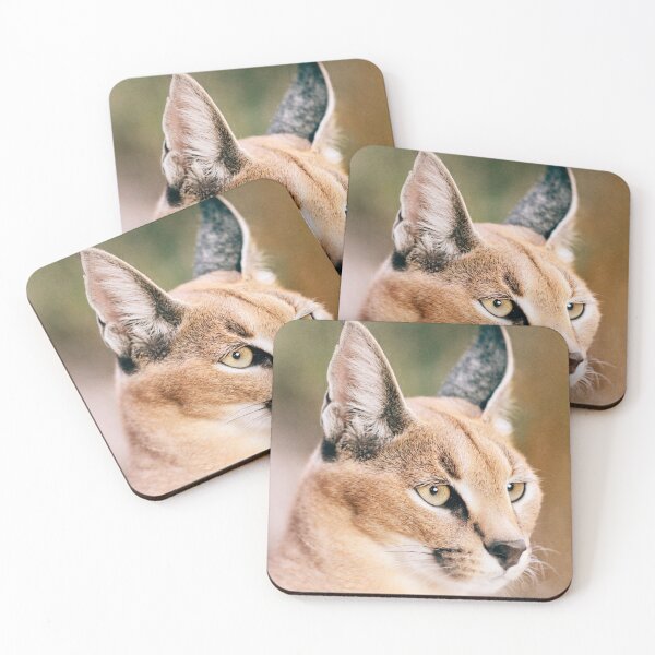 Item preview, Caracal designed and sold by Alicia Scott.