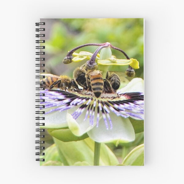 Item preview, Breakfast Party for Bees......Lyme Regis. Dorset UK designed and sold by lynn carter.