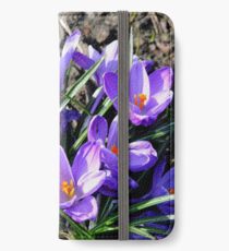 Beautiful Spring Crocuses iPhone Wallet/Case/Skin