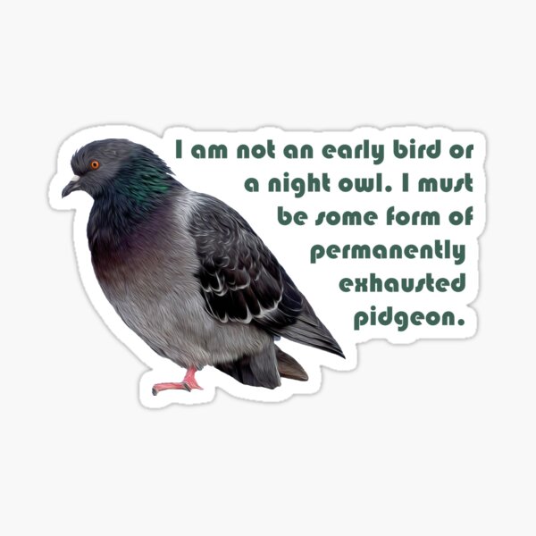Permanently Exhausted Pidgeon Sticker