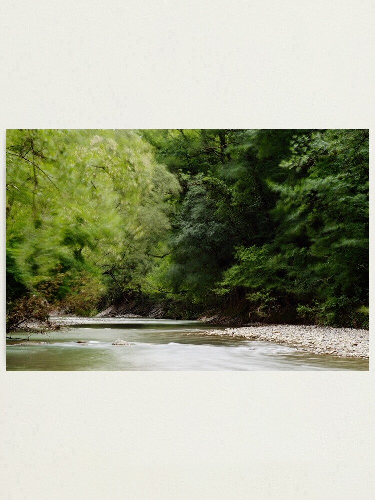 Alternate view of A windy springtime Photographic Print