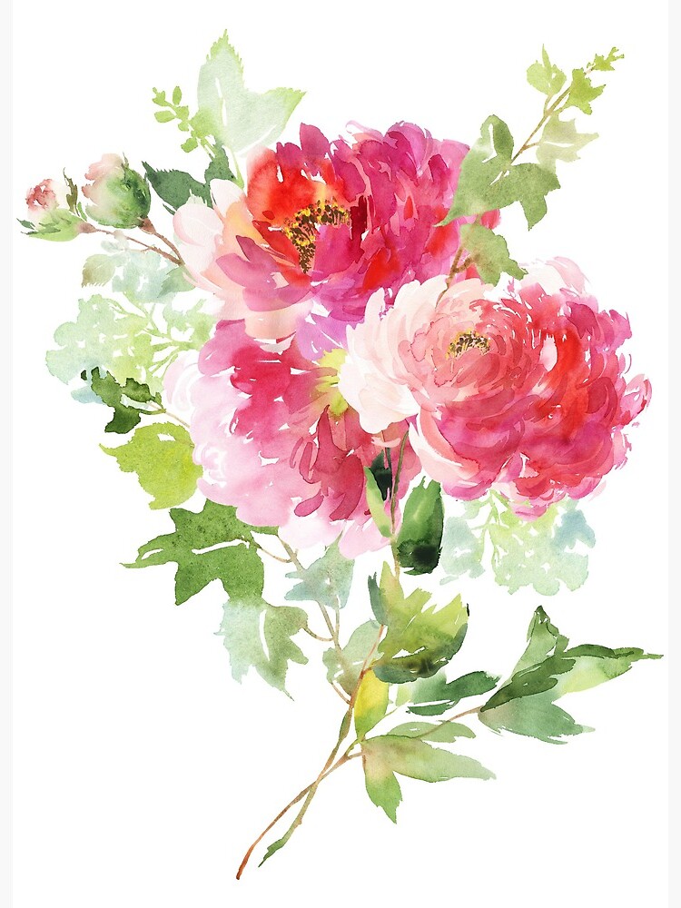 Impression rigide « Bouquet de pivoines sauvages en aquarelle rose », par  junkydotcom | Redbubble