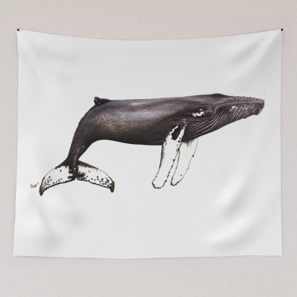 Item preview, The famous Humpback whale Notch from Cabo Verde designed and sold by chloeyzoard.