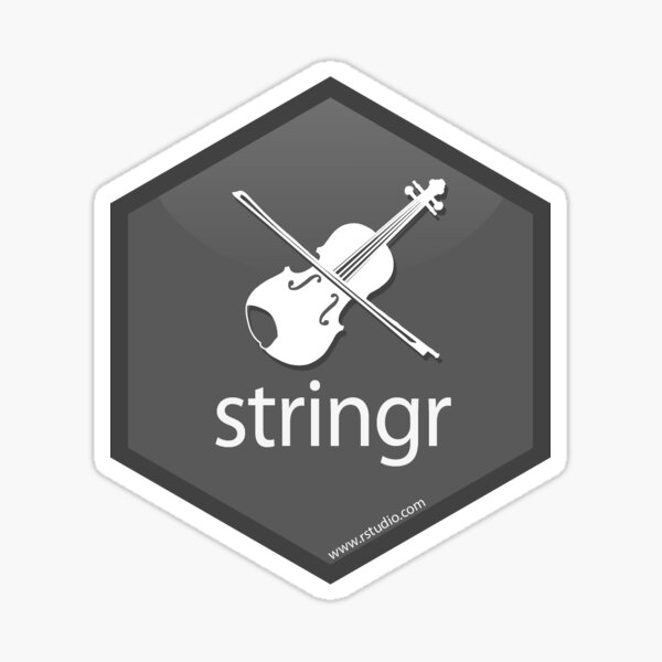 R Stringr Logo Sticker
