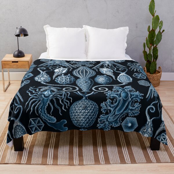 Item preview, Ernst Haeckel Amphoridea Sea Life designed and sold by aimeewilson.