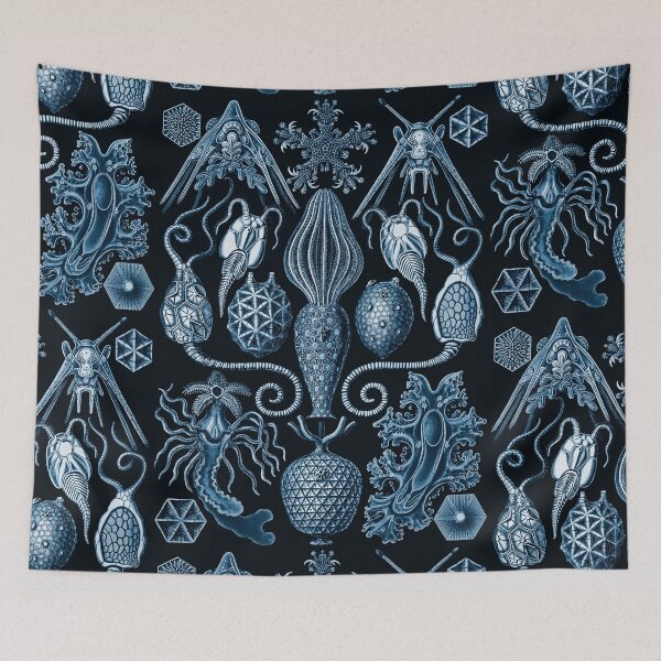 Item preview, Ernst Haeckel Amphoridea Sea Life  designed and sold by aimeewilson.