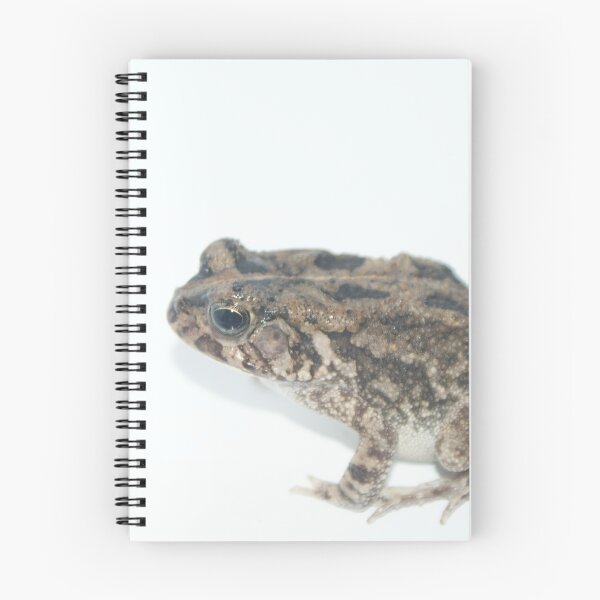 Item preview, African Common Toad designed and sold by Steven Allain.