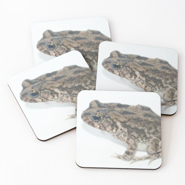 Item preview, African Common Toad designed and sold by Steven Allain.