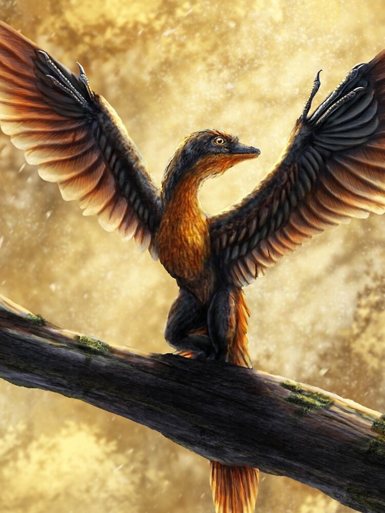 archaeopteryx lithographica