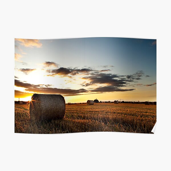 Make hay while the sun shines Poster