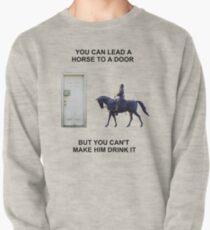 You Can Lead a Horse to a Door Pullover