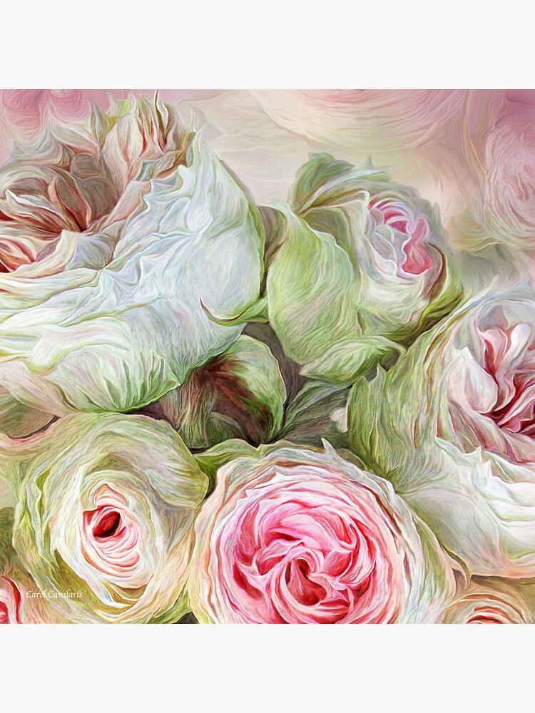 "Rose Moods Harmony" Throw Pillow by carolcavalaris Redbubble