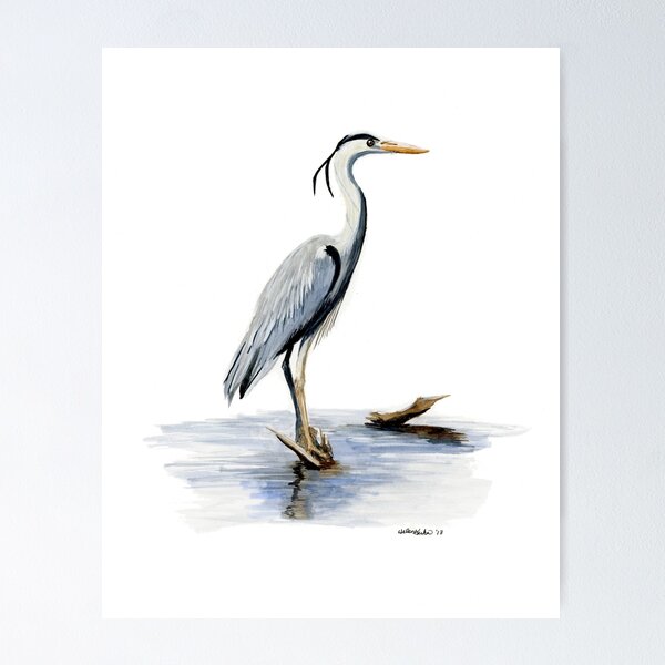 Item preview, Blue Heron designed and sold by MuskokaFox.