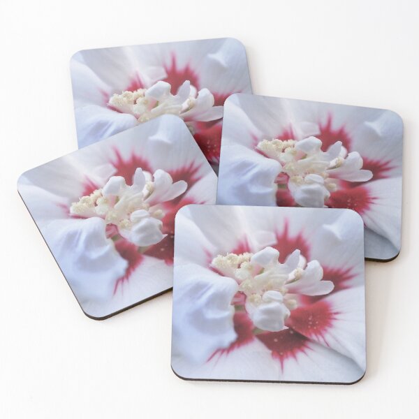 Item preview, Amarena Swirl designed and sold by Kasia Design.