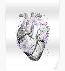 Human Heart Poster