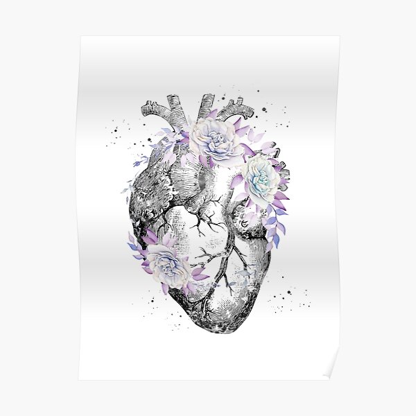 Human Heart Poster