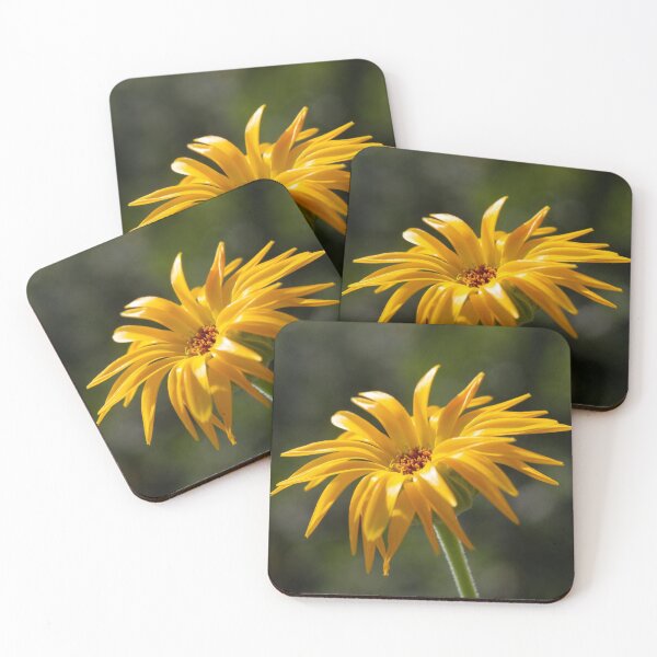 Item preview, Soaking up the Sun designed and sold by Kasia Design.