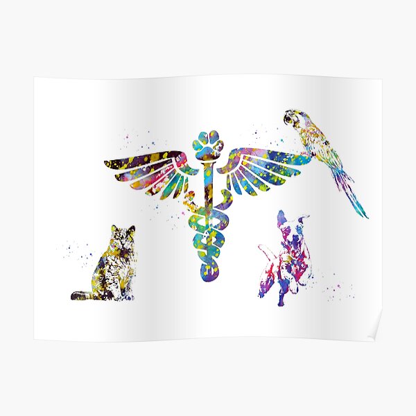 Veterinary Clinic Symbol Poster