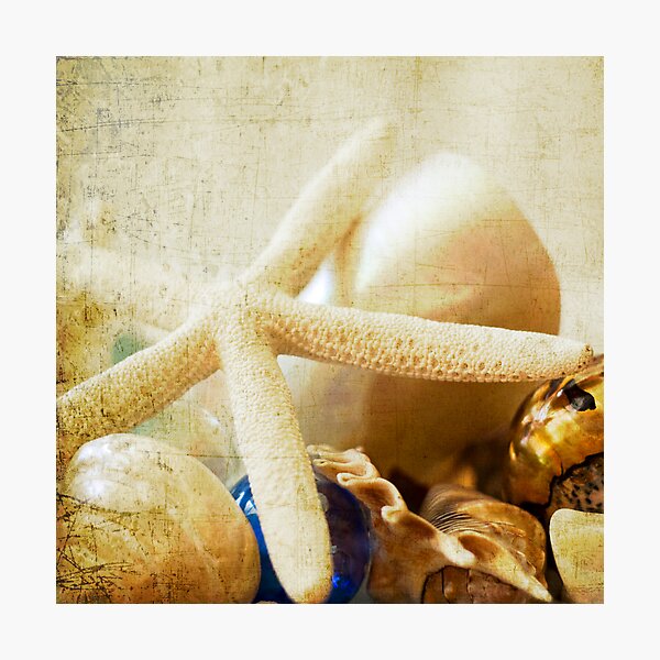 Starfish Photographic Print
