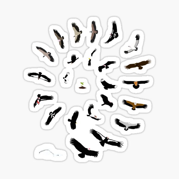 Vultures of the World 2018 Sticker