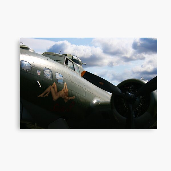 Sally B Canvas Print