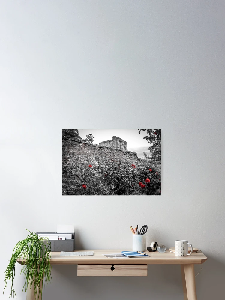 Thumbnail 2 of 3, Poster, CASTLE AND ROSES PRINT designed and sold by lindaully.