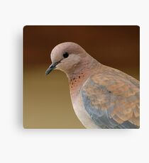 When Doves Cry Canvas Print