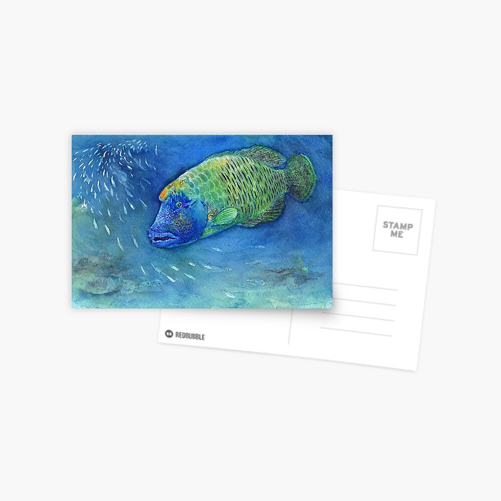 Sad Fish Postcard