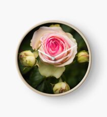 heirloom rose Clock