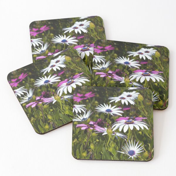 Item preview, Daisies Under My Feet designed and sold by Joy Watson - Natural Light Photography .