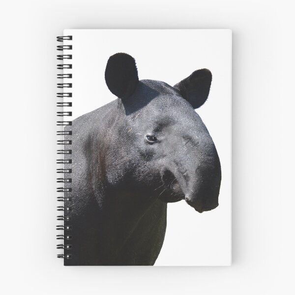 Item preview, The Most Handsome Tapir in the World designed and sold by PtDefianceAAZK.