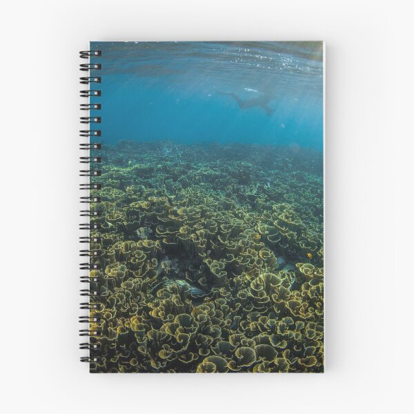 Item preview, Dusk snorkel designed and sold by David Wachenfeld.