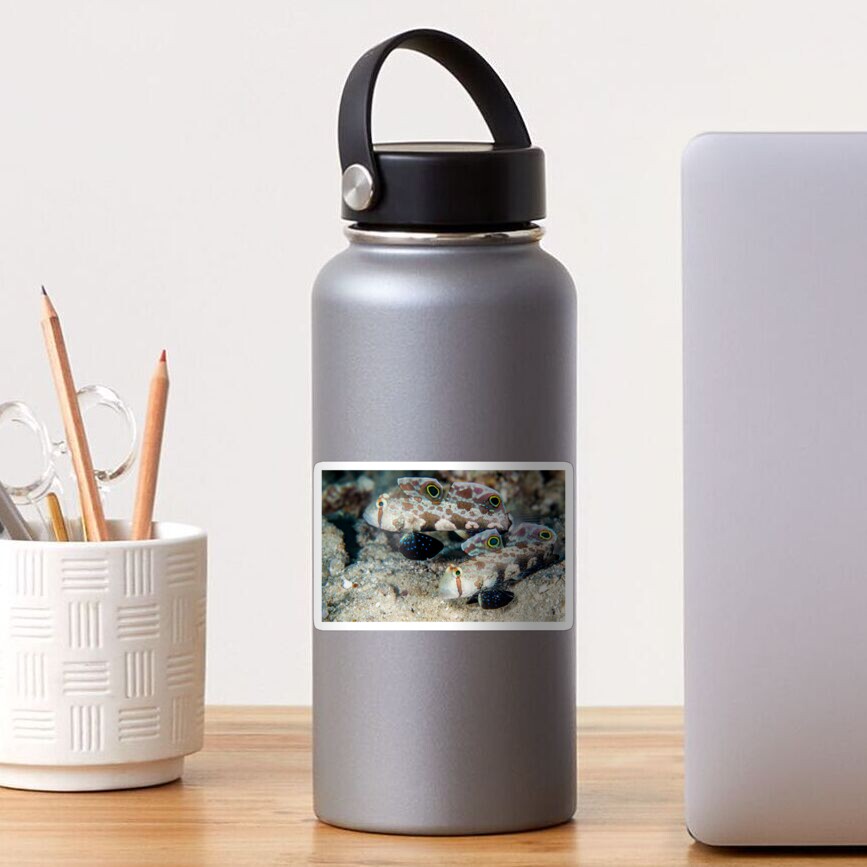 Signal gobies Sticker