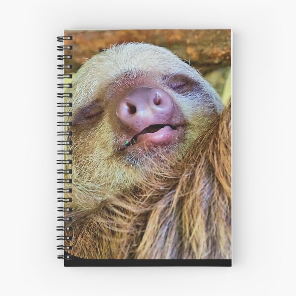 Item preview, Sloth in Panama designed and sold by Geoffrey Higges.