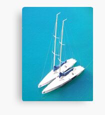 White Canvas Print