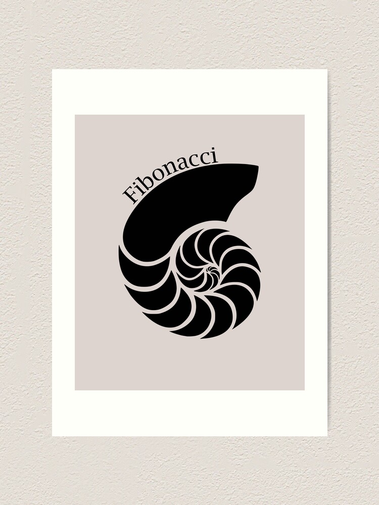 Fibonacci spiral art  Spiral art, Fibonacci spiral art, Monochromatic art