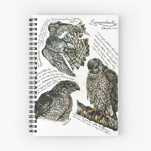Item preview, Sparrowhawk designed and sold by Carolwellart.