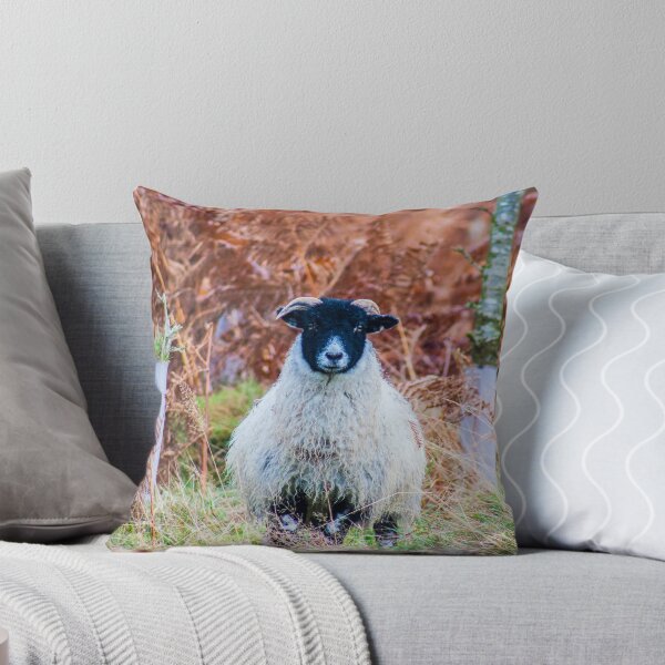 Item preview, Sheep designed and sold by chirs1990.