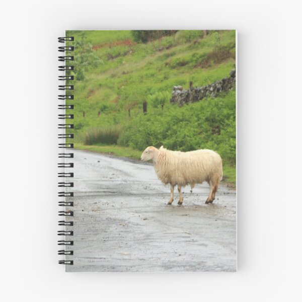 Item preview, Everybody loves a sheep in the road. designed and sold by Theresa Selley Photography.