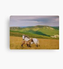 Lienzo Dartmoor: Ponies on Hameldown