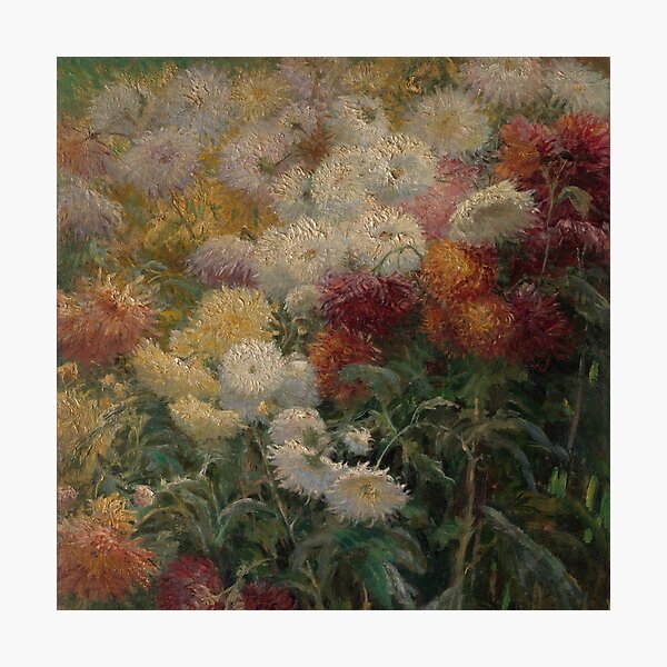 "Chrysanthemums in the Garden at PetitGennevilliers Claude