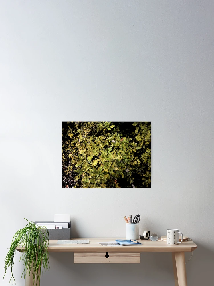 Thumbnail 2 of 3, Poster, Autumn Abstract designed and sold by RVogler.
