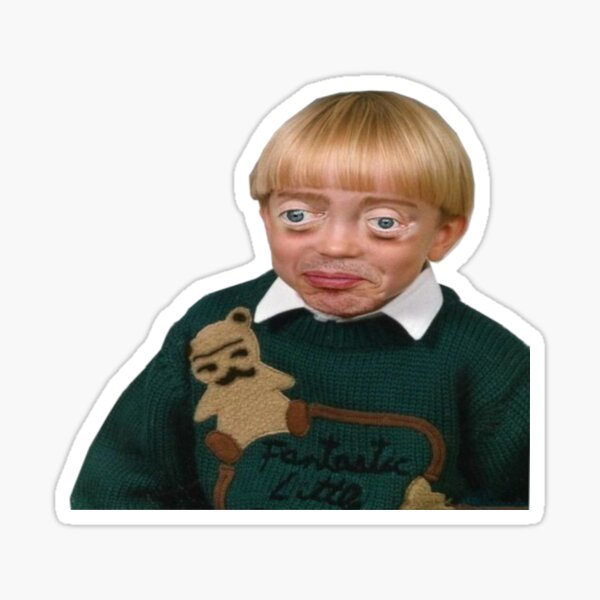 Steve Buscemi Stickers for Sale Redbubble