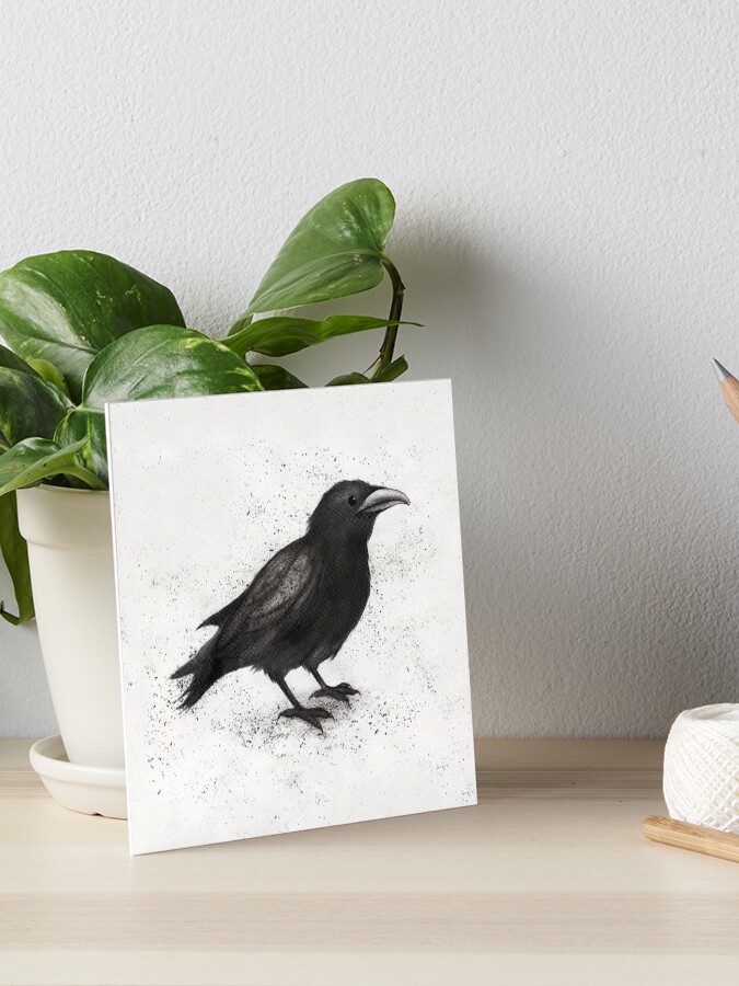 Crow - Charcoal