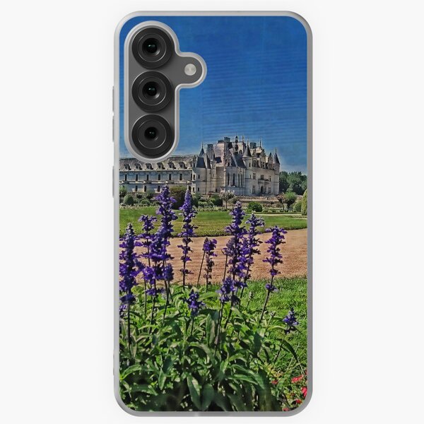 Item preview, Châteaux of the Loire Valley. Chenonceau. designed and sold by vadim19.