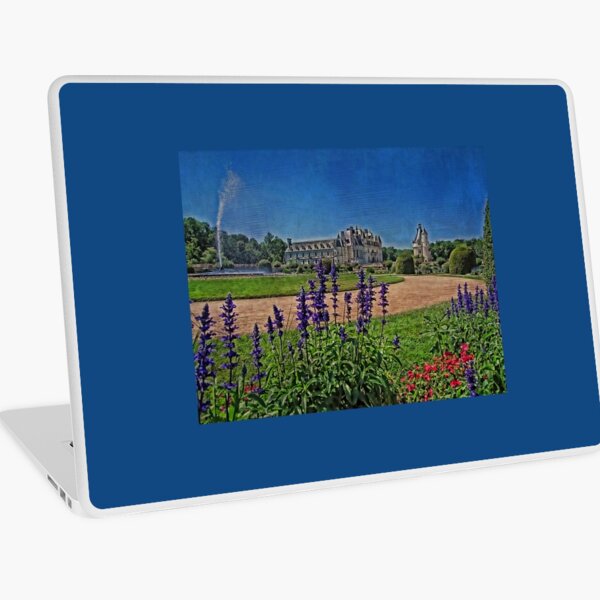 Item preview, Châteaux of the Loire Valley. Chenonceau. designed and sold by vadim19.